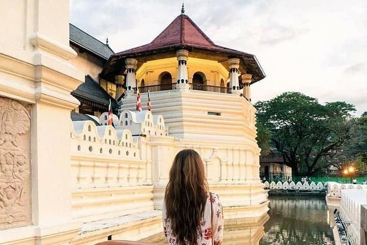 Kandy Sightseeing Day Tour from Colombo — Temple, Tea Factory & Peradeniya Gardens photo 1