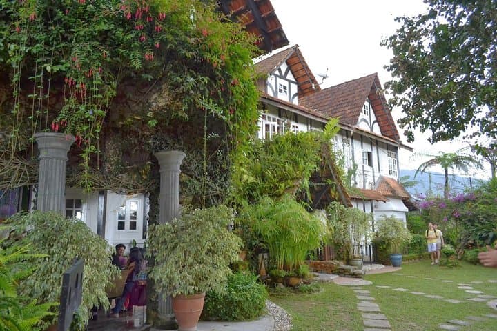 Exploring Cameron Highlands Mossy Forest: A Mist-Shrouded Boardwalk Adventure photo 4