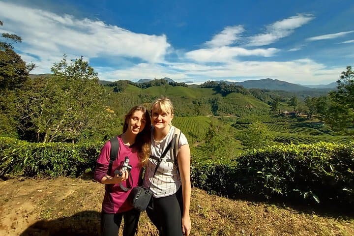 Munnar Tea Garden Trekking: Afternoon Walks, Early Man Cave & Tea-Plantation Views photo 2