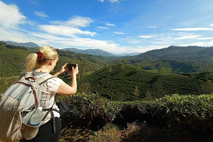 Munnar Tea Garden Trekking: Afternoon Walks, Early Man Cave & Tea-Plantation Views photo 3