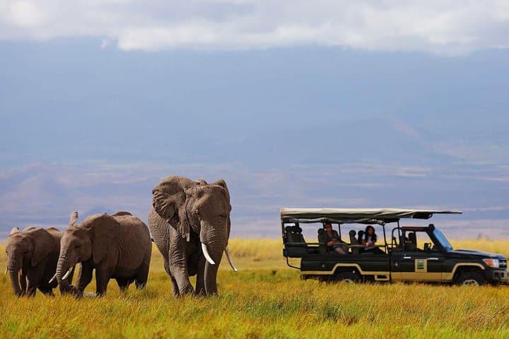 7-Day Kenya Safari: Samburu, Ol Pejeta, Lake Naivasha & Maasai Mara