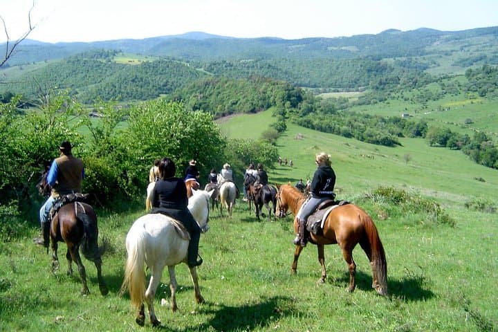 Tropea Horse Riding Excursion: Olive-Grove Trails & Calabrian Tasting