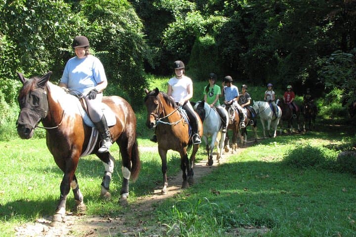 Tropea Horse Riding Excursion: Olive-Grove Trails & Calabrian Tasting photo 3
