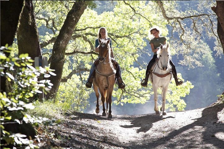 Tropea Horse Riding Excursion: Olive-Grove Trails & Calabrian Tasting photo 4