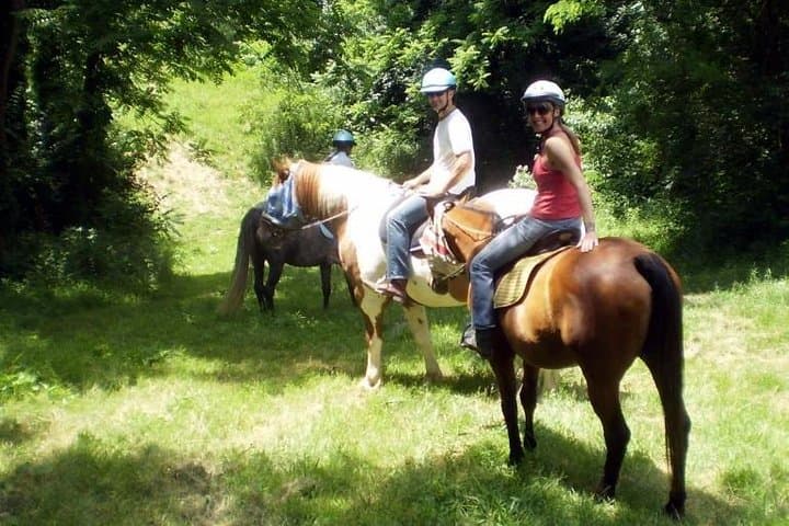 Tropea Horse Riding Excursion: Olive-Grove Trails & Calabrian Tasting photo 6