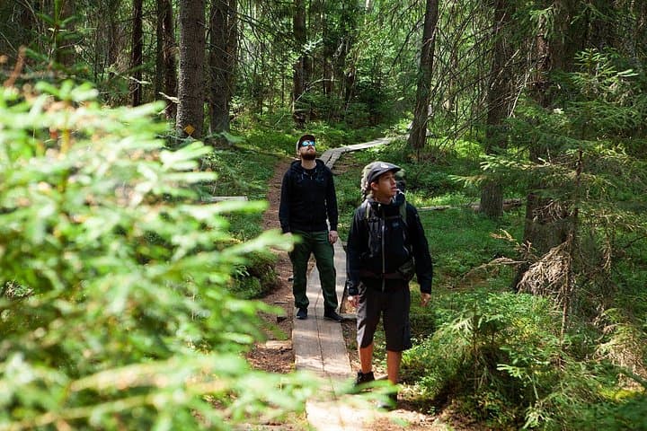 Taiga Day Hike at Liesjärvi National Park — Lakeside Finnish Lunch & Guided Walk