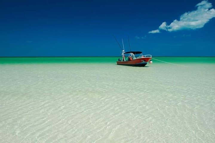 Holbox Beach Adventure and Punta Mosquito Day Trip from Tulum photo 4