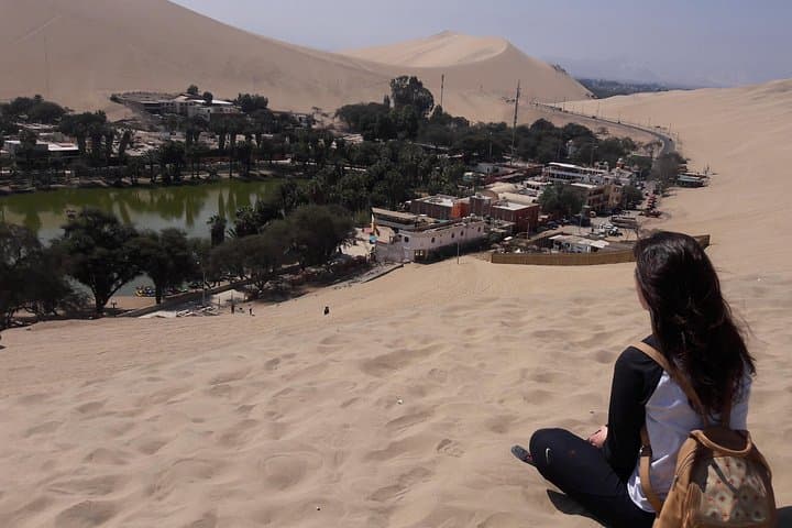 Paracas & Huacachina Day Trip: Ballestas Islands, Sandboarding and Pisco Tasting photo 3