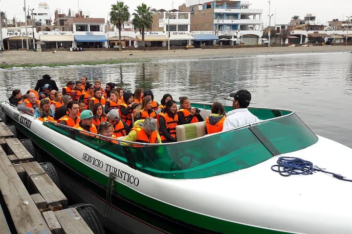 Paracas & Huacachina Day Trip: Ballestas Islands, Sandboarding and Pisco Tasting photo 4
