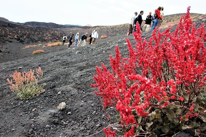 Etna Morning Trip: Hike Lava Caves and Valle del Bove photo 2