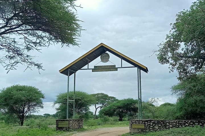 Tarangire National Park Day Safari from Arusha — Big Game, Baobabs & River Life photo 2