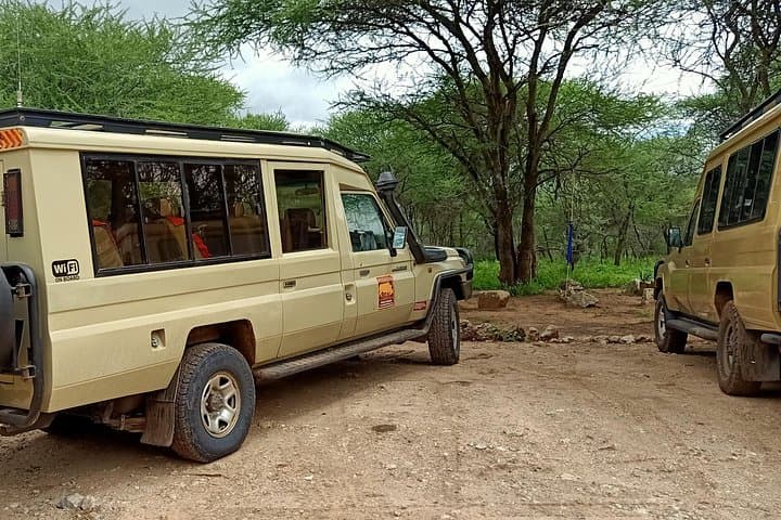 Tarangire National Park Day Safari from Arusha — Big Game, Baobabs & River Life photo 3