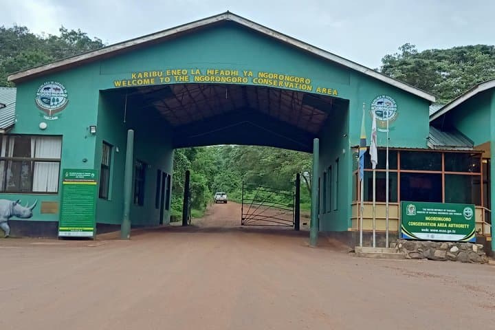 Ngorongoro Day Trip: Full-Day Crater Safari from Arusha photo 4