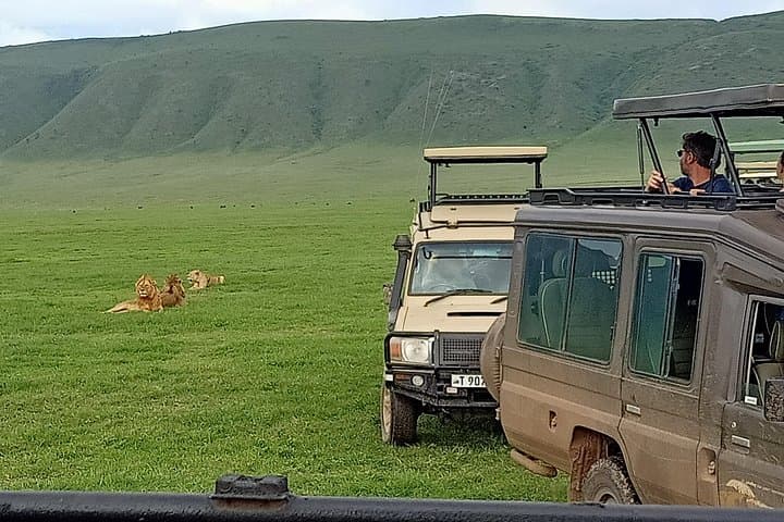 Ngorongoro Day Trip: Full-Day Crater Safari from Arusha photo 3