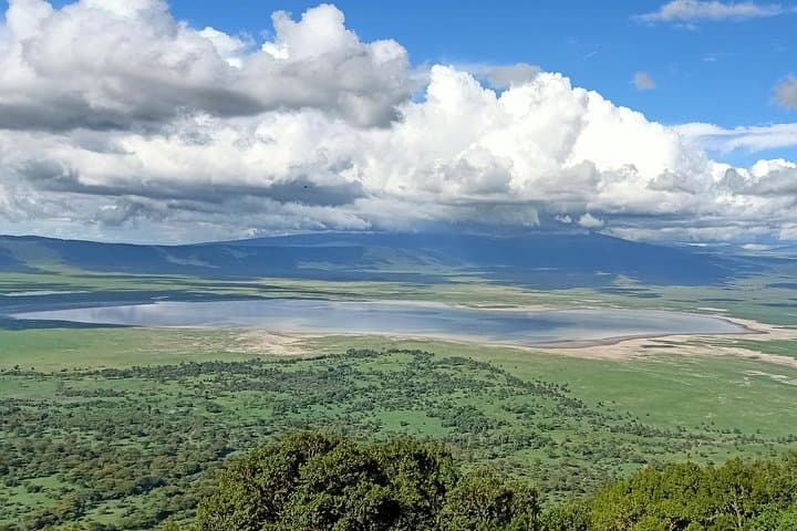 Ngorongoro Day Trip: Full-Day Crater Safari from Arusha