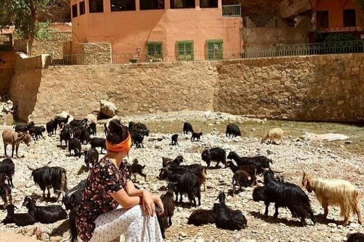Five-Day Luxury Marrakech to Fez: Ait Ben Haddou, Sahara & Ouzoud Waterfalls photo 6