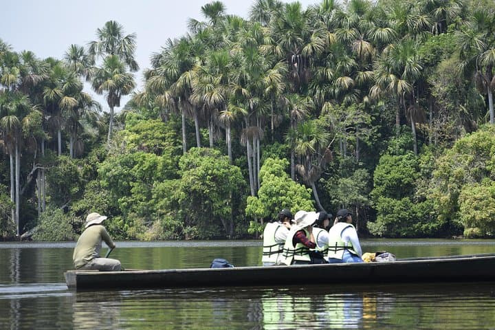 Chuncho Clay Lick & Sandoval Lake: 2-Day Amazon Wildlife and Canoe Experience photo 6