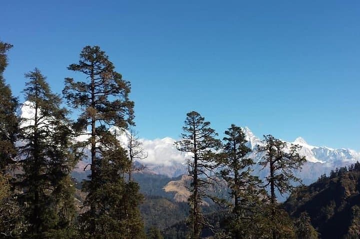 Mohare Danda Trek: Short Community Route to Annapurna Viewpoint photo 4