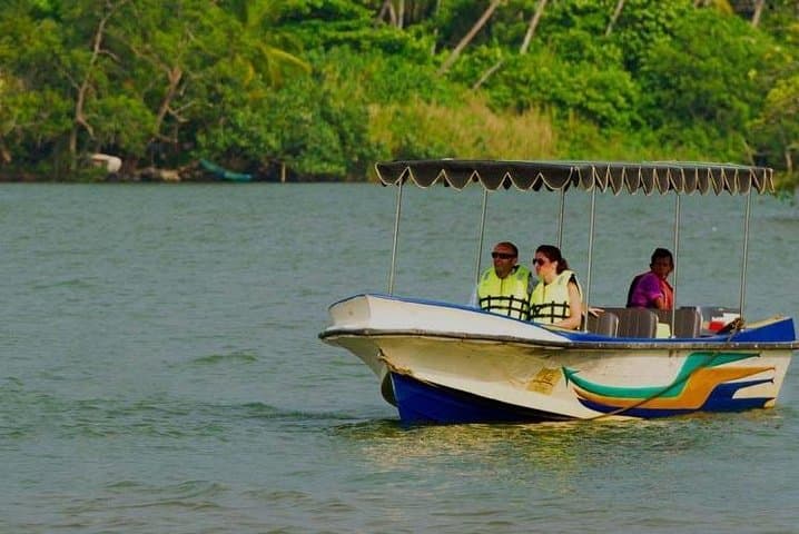 Galle Day Tour from Negombo: Galle Fort, Madu River & Turtle Hatchery