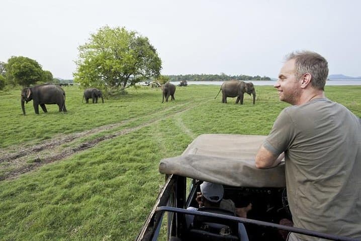 Half-Day Minneriya Safari: Witness Sri Lankas Great Elephant Gathering photo 4