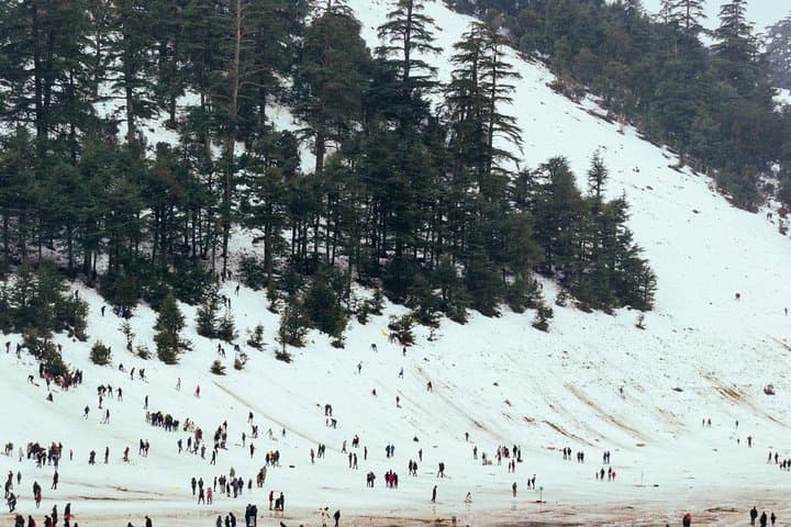 Middle Atlas Day Trip from Fez: Ifrane, Azrou & Cedar Forests photo 2