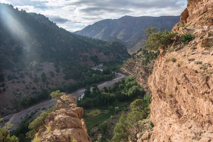 Middle Atlas Day Trip from Fez: Ifrane, Azrou & Cedar Forests photo 3