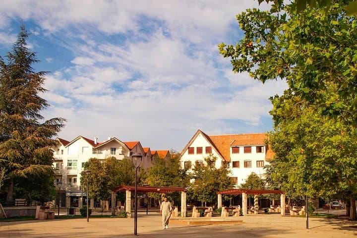 Middle Atlas Day Trip from Fez: Ifrane, Azrou & Cedar Forests photo 4
