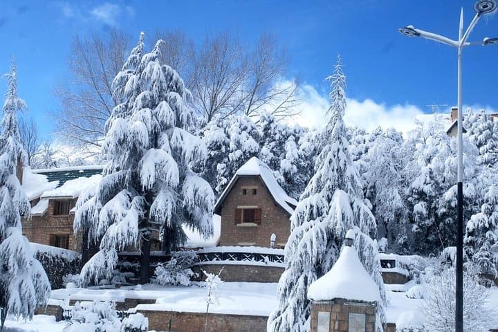Middle Atlas Day Trip from Fez: Ifrane, Azrou & Cedar Forests photo 6
