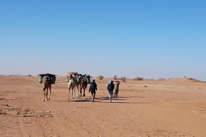 3-Day Sahara Trek: Marrakech to Erg Chegaga photo 2