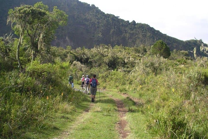 Arusha National Park Day Tour — Walking Safari & Momella Canoeing photo 3