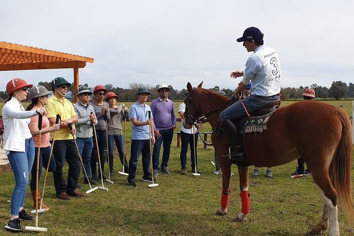 Polo Lessons from Buenos Aires: Learn to Play in the Argentine Pampas photo 3