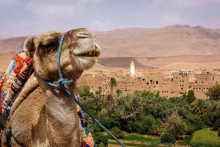 Day Trip to Ait Ben Haddou from Marrakech — Kasbah & High Atlas Pass Experience photo 2