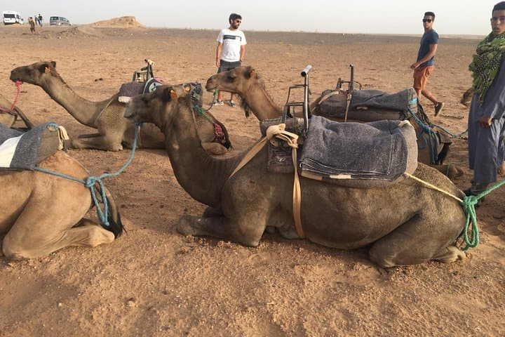 Marrakech to Zagora 2-Day Desert Tour: Ait Ben Haddou, Atlas Pass & Zagora Dunes