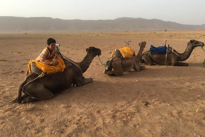 Marrakech to Zagora 2-Day Desert Tour: Ait Ben Haddou, Atlas Pass & Zagora Dunes photo 5