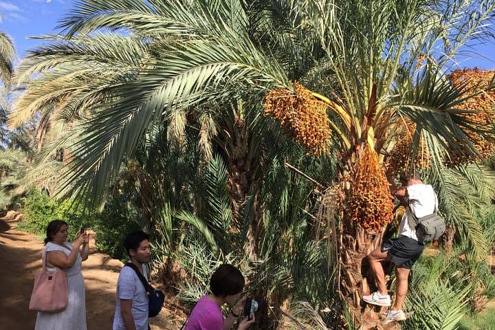 Marrakech to Zagora 2-Day Desert Tour: Ait Ben Haddou, Atlas Pass & Zagora Dunes photo 6