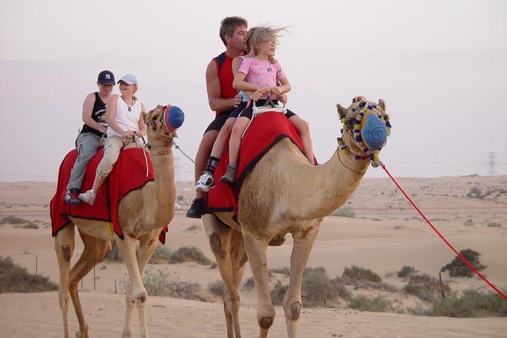 Evening Dubai Dune Buggy Adventure with Buffet & Live Shows photo 4