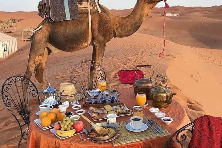 Morocco 12-Day Sahara & Imperial Cities Tour from Tangier photo 6