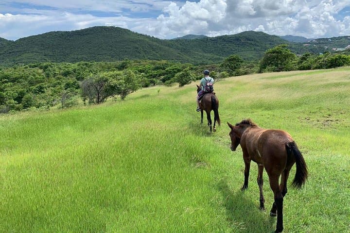 Advanced Horseback Beach Ride in St. Lucia — Sandy Hoofs Coastal Canter & Swim