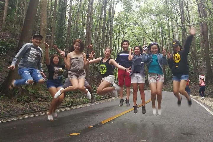 Bohol Countryside Tour: Chocolate Hills, Tarsier Sanctuary & Loboc River Cruise photo 4