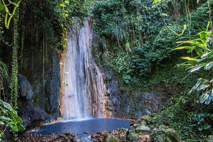 St. Lucia Botanical Gardens & Diamond Falls Waterfall Tour — Soufrière Day Trip photo 3