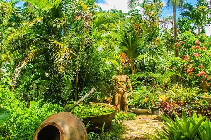 Barbados Botanical Tour: Hunte's, Orchid World & Coastal Gardens