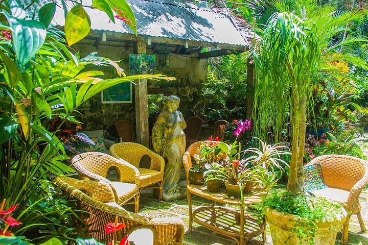 Barbados Botanical Tour: Hunte's, Orchid World & Coastal Gardens photo 5