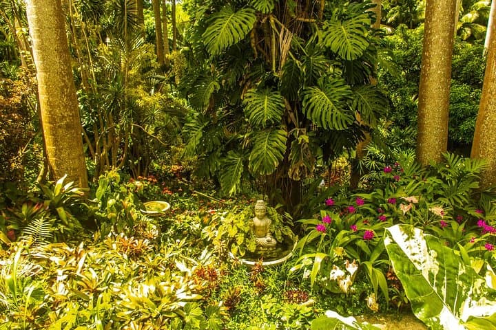 Barbados Botanical Tour: Hunte's, Orchid World & Coastal Gardens photo 6