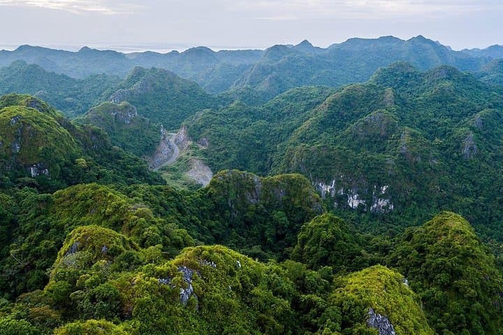 Full-Day Jungle Trek and Lan Ha Bay Kayak in Cat Ba National Park photo 2