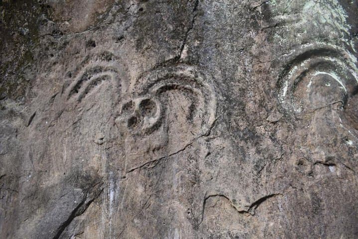 Footprint of the Jaguar: Ecological Path in Montes de María (San Jacinto) photo 3