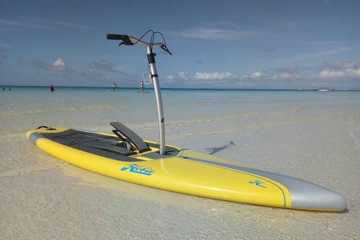 Prosperity Full-Day Stand-Up Board Rental on Panay's Front Beach photo 3