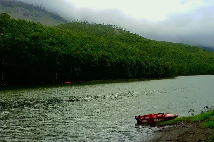 Munnar Day Tour: Tea Plantations, Top Station & Madupetty Dam photo 2