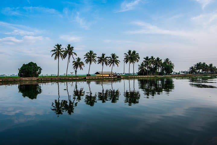 Amazing Kerala 7-Day Tour: Munnar, Periyar & Backwaters from Kochi photo 3
