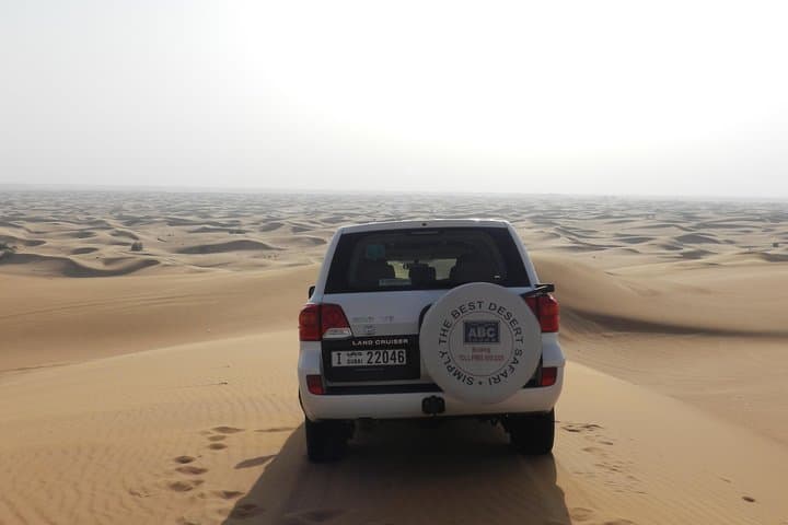 Dubai Desert Safari: Evening Dune Drive, Camel Ride, BBQ & Live Shows photo 6