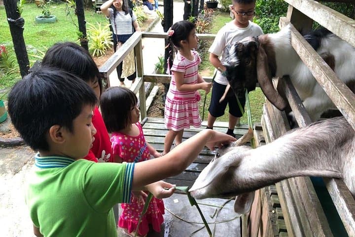 Family Day Trip to Tanjung Piai & Eco Farm from Singapore — Mangroves, Mini Zoo, Kids Go-Kart photo 6